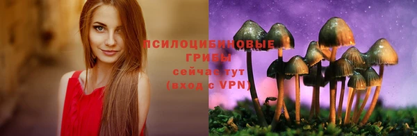 тгк Балахна